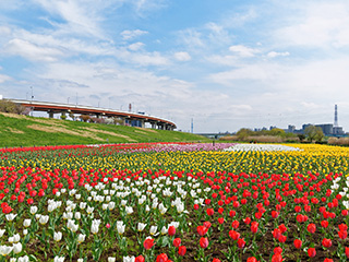 都市農業公園