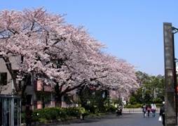 東綾瀬公園
